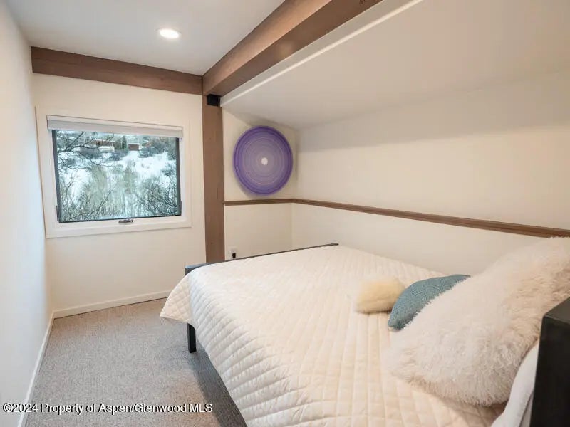 12 of 19 - 1711 Juniper Hill Drive, Aspen, CO