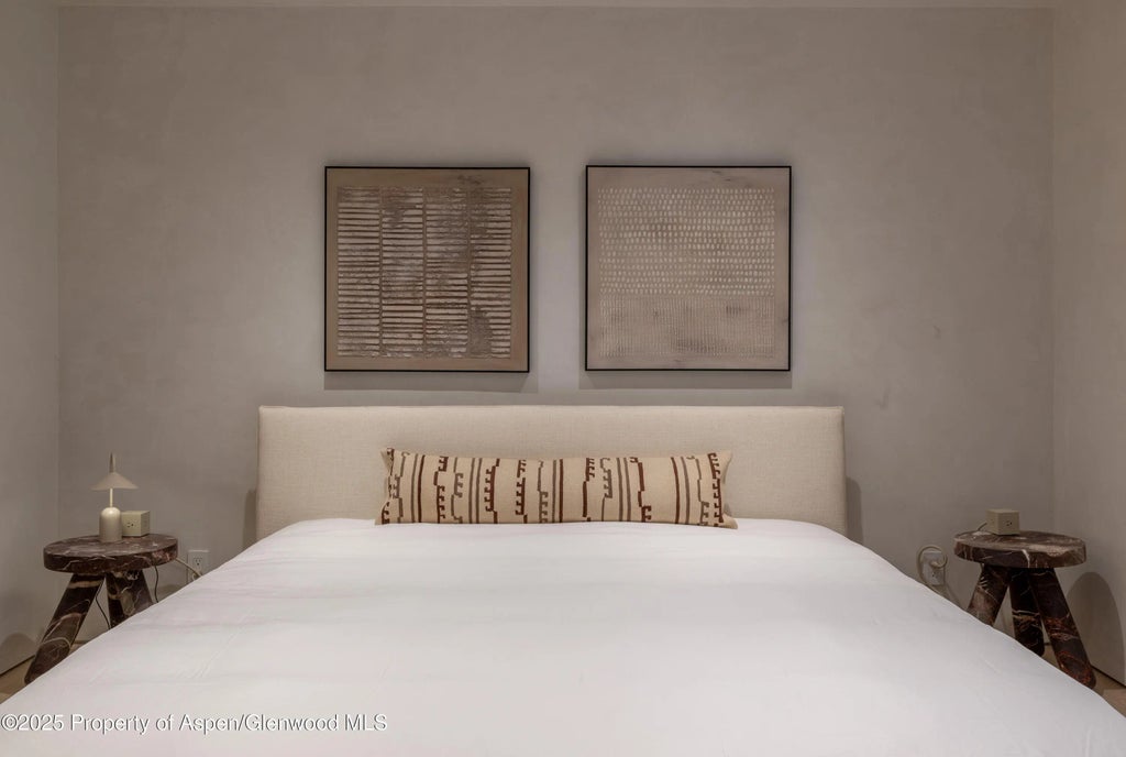 28 of 38 - 609 W Francis Street, Aspen, CO