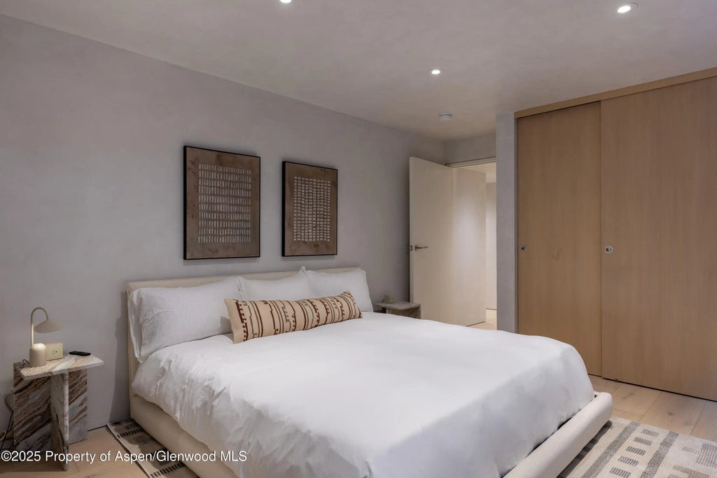 29 of 38 - 609 W Francis Street, Aspen, CO