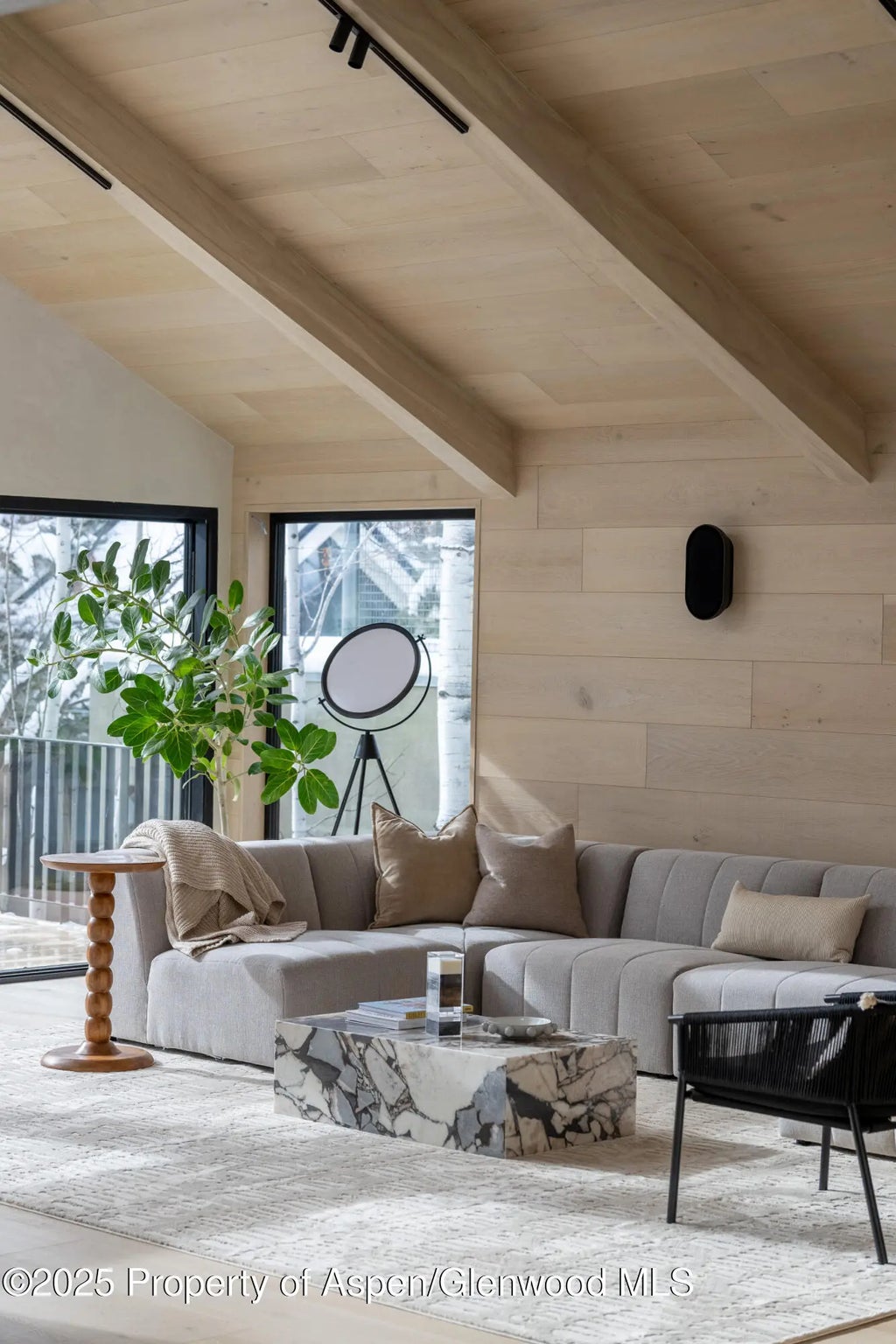 7 of 38 - 609 W Francis Street, Aspen, CO