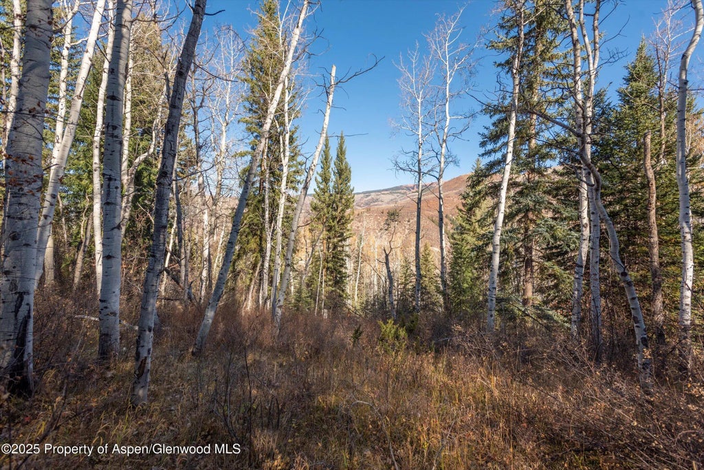 8 of 9 - 1920 S Shore Drive, Meredith, CO