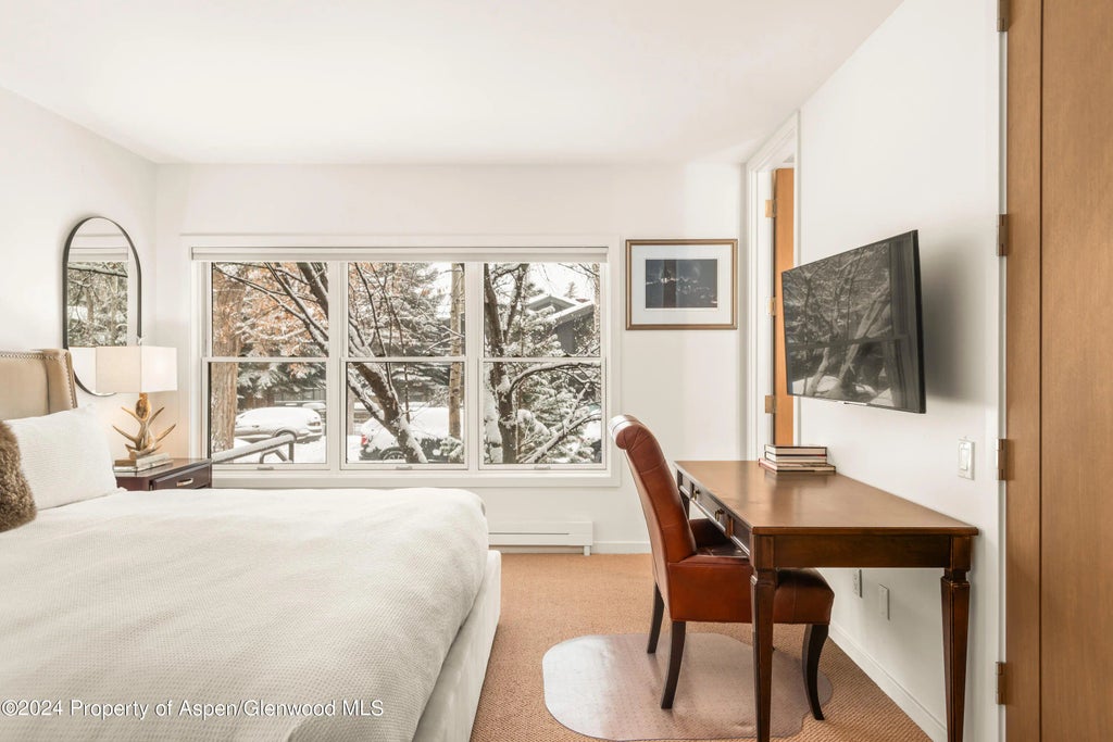 27 of 38 - 927 E Durant Avenue 3, Aspen, CO