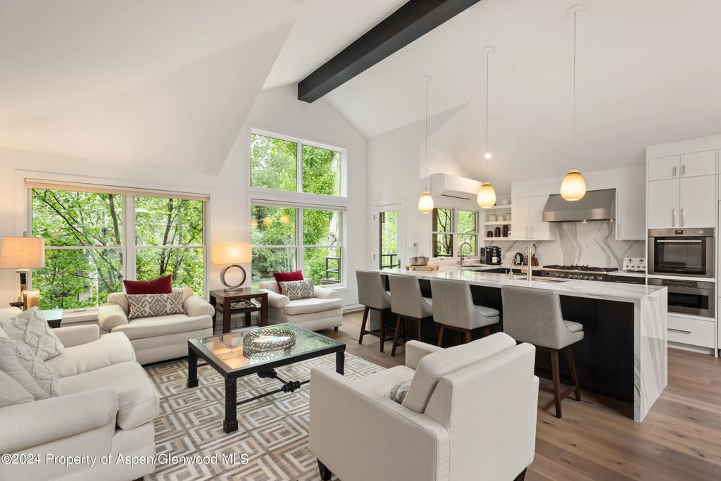 7 of 38 - 927 E Durant Avenue 3, Aspen, CO