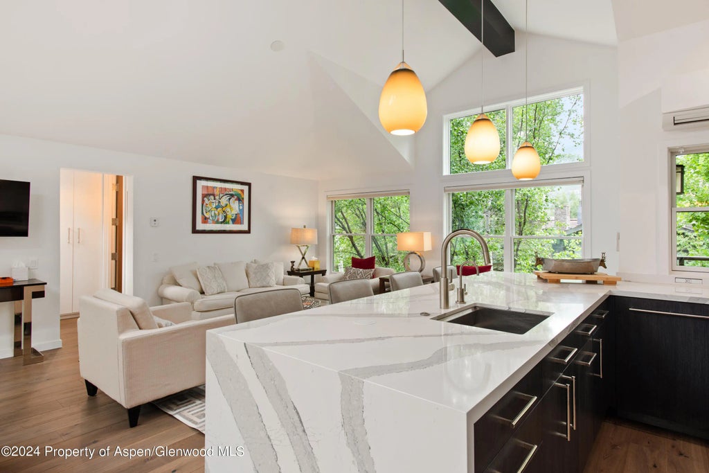 8 of 38 - 927 E Durant Avenue 3, Aspen, CO