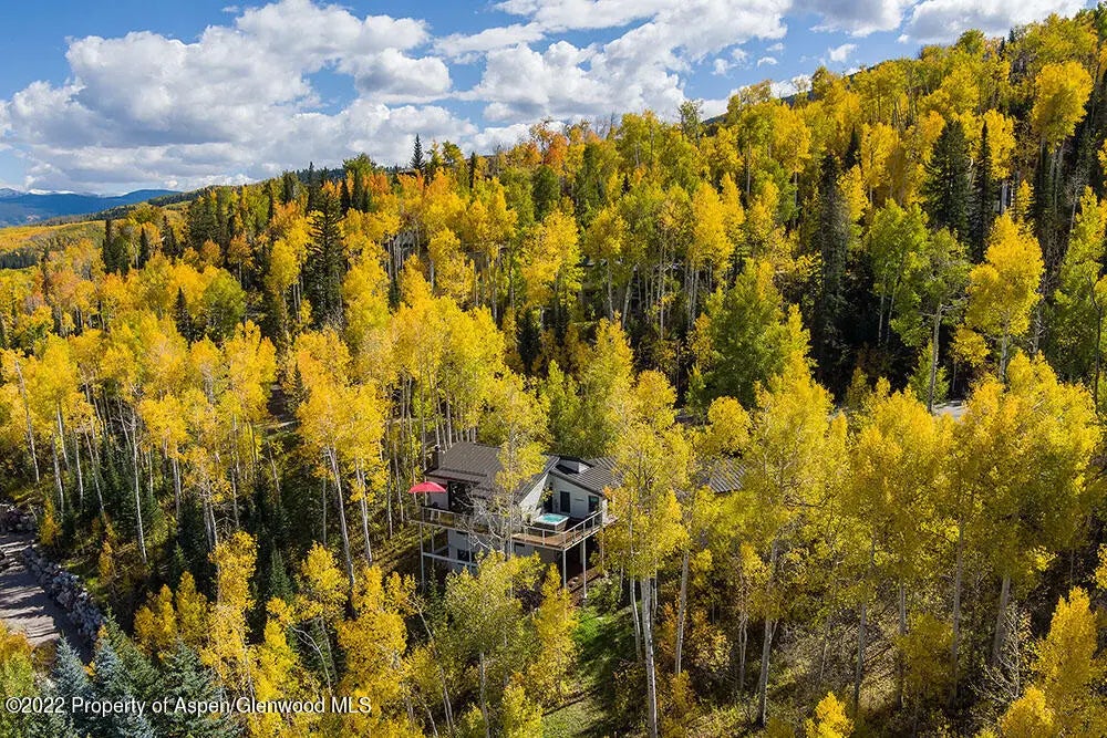 20 of 37 - 879 Faraway Road, Snowmass Village, CO