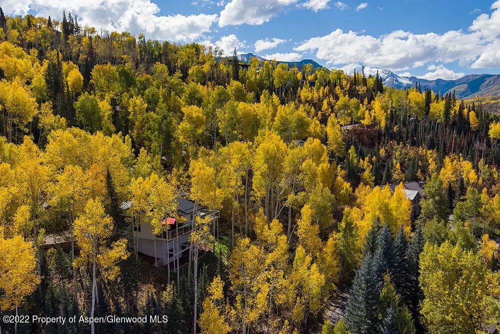 22 of 37 - 879 Faraway Road, Snowmass Village, CO