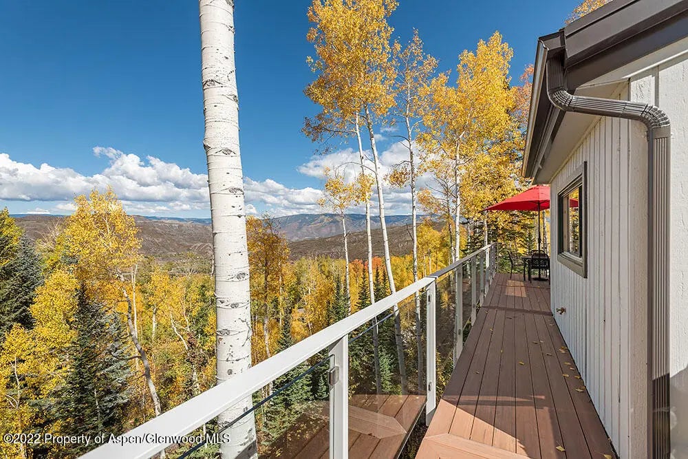6 of 37 - 879 Faraway Road, Snowmass Village, CO