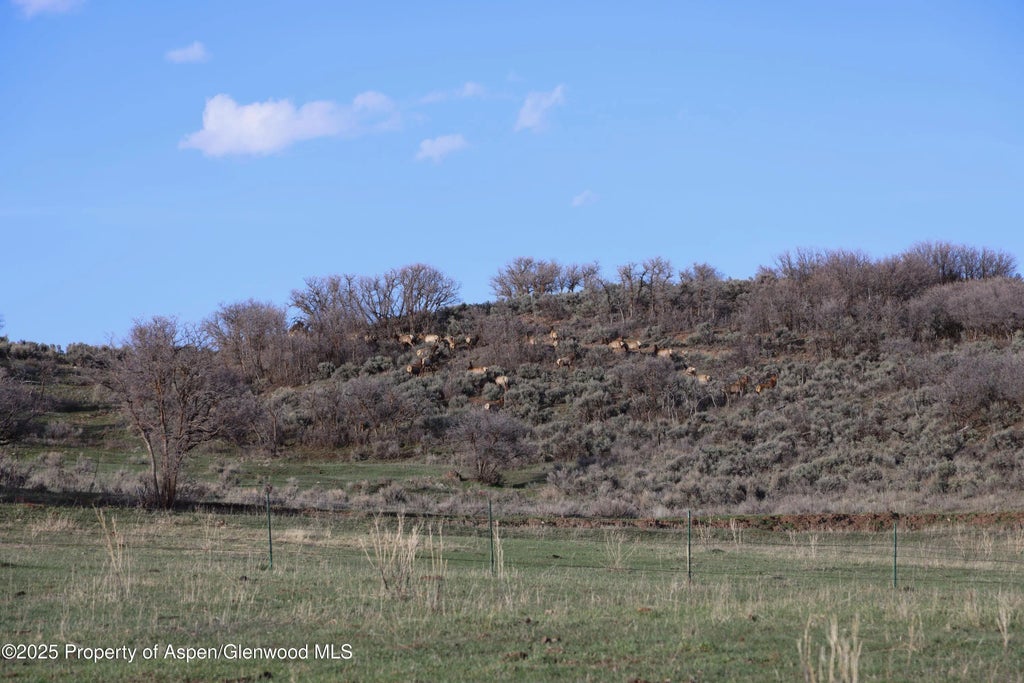 16 of 23 - Tbd County Road 100, Carbondale, CO