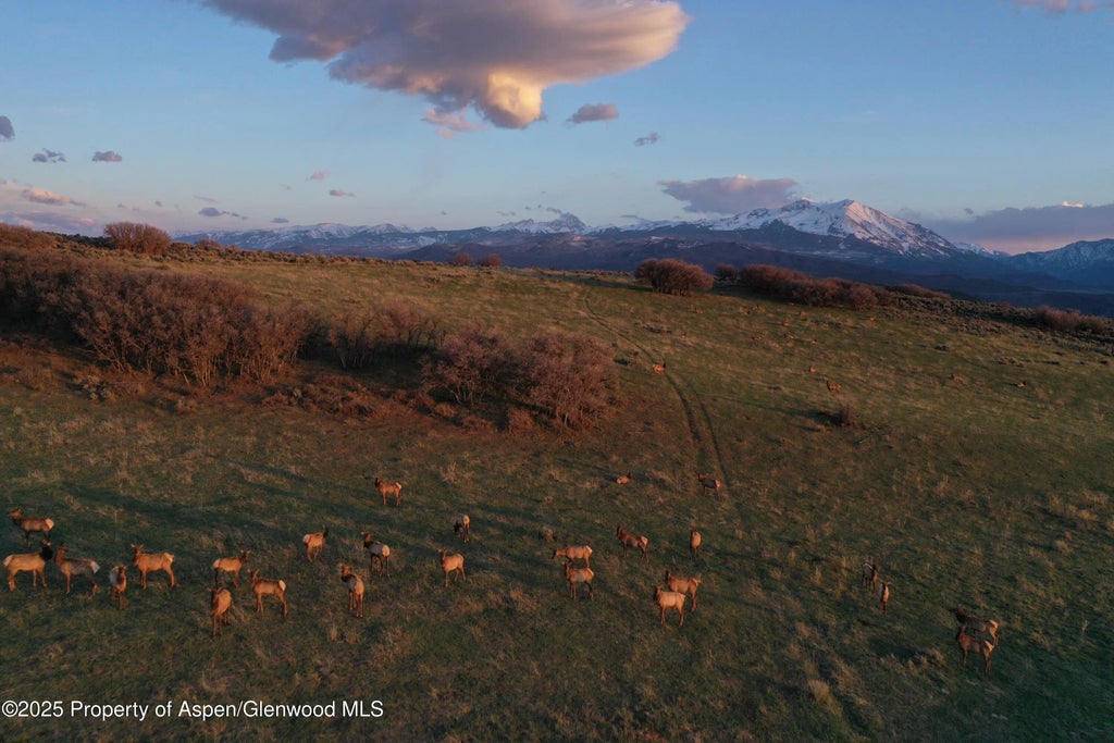 21 of 23 - Tbd County Road 100, Carbondale, CO