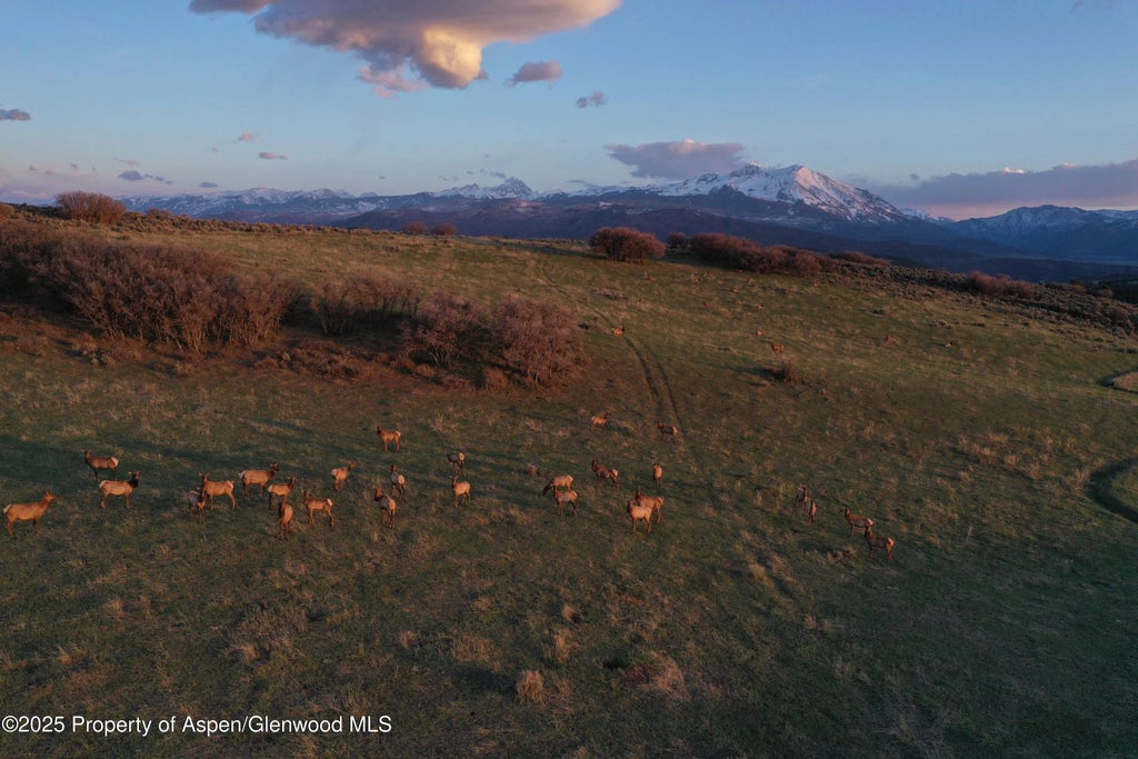 4 of 23 - Tbd County Road 100, Carbondale, CO