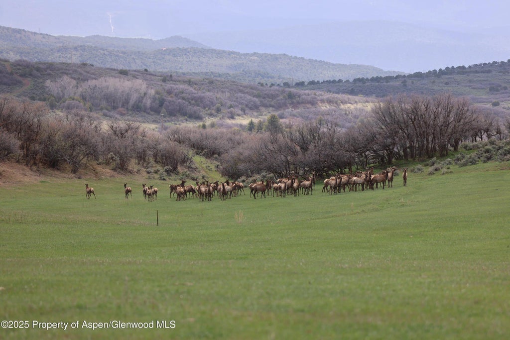 8 of 23 - Tbd County Road 100, Carbondale, CO