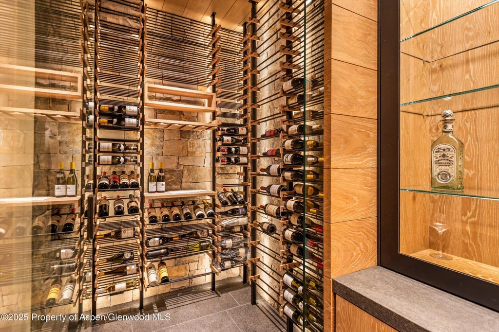 16 of 44 - 549 Walnut Street, Aspen, CO