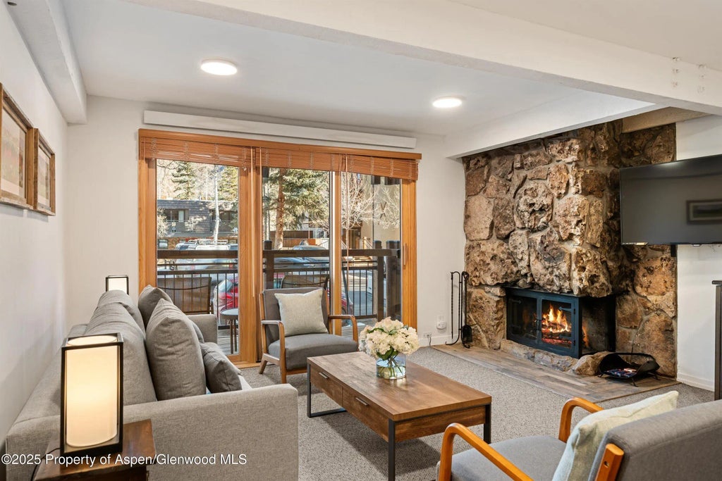 1 of 16 - 131 E Durant Avenue 104, Aspen, CO