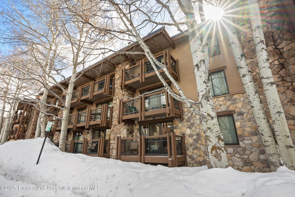 12 of 16 - 131 E Durant Avenue 104, Aspen, CO