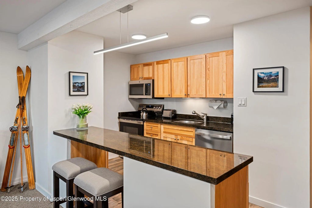 6 of 16 - 131 E Durant Avenue 104, Aspen, CO