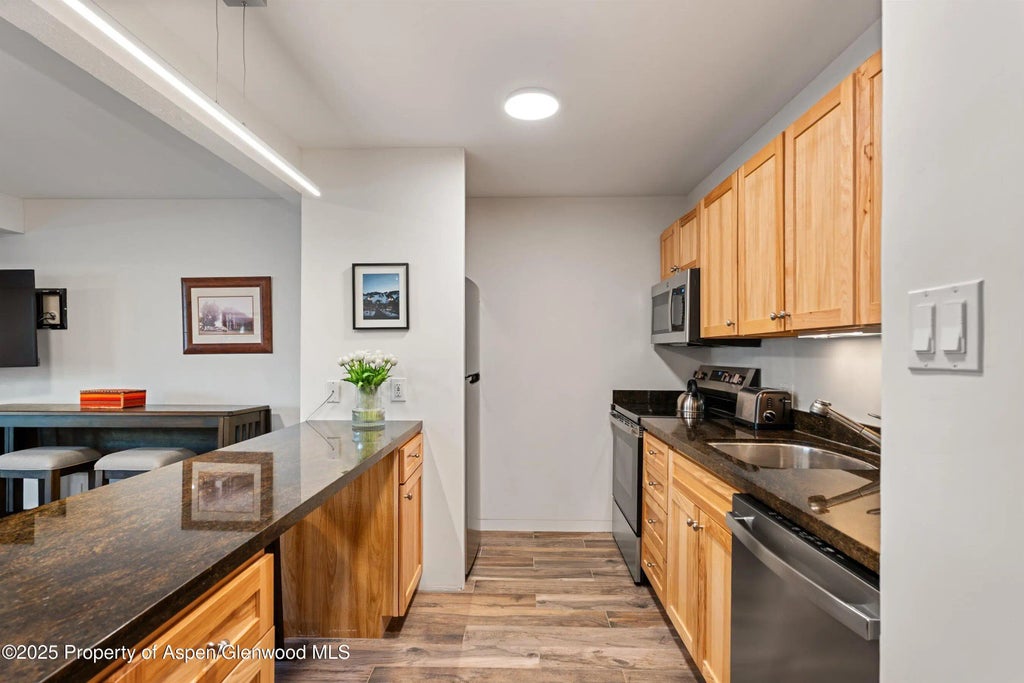 7 of 16 - 131 E Durant Avenue 104, Aspen, CO