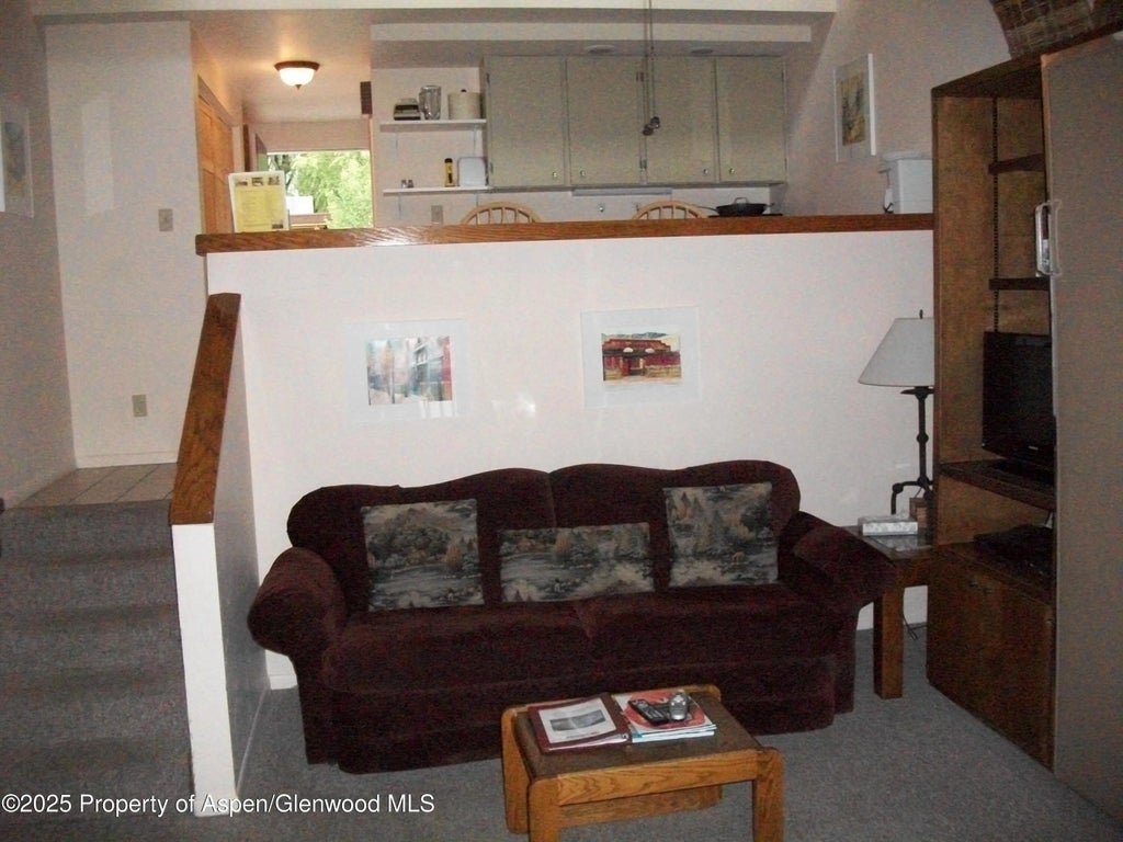 4 of 10 - 232 W Hyman Avenue #4 (wks 10,20) And #8 (wk 43), Aspen, CO