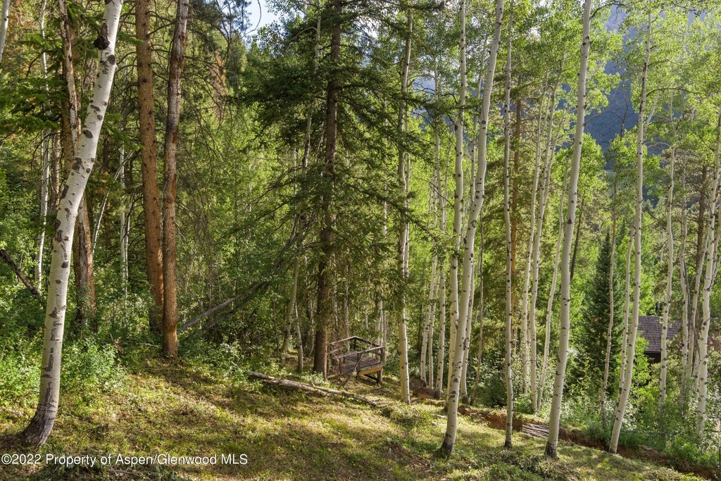 20 of 28 - Tbd Exhibition Lane Lot 13, Aspen, CO