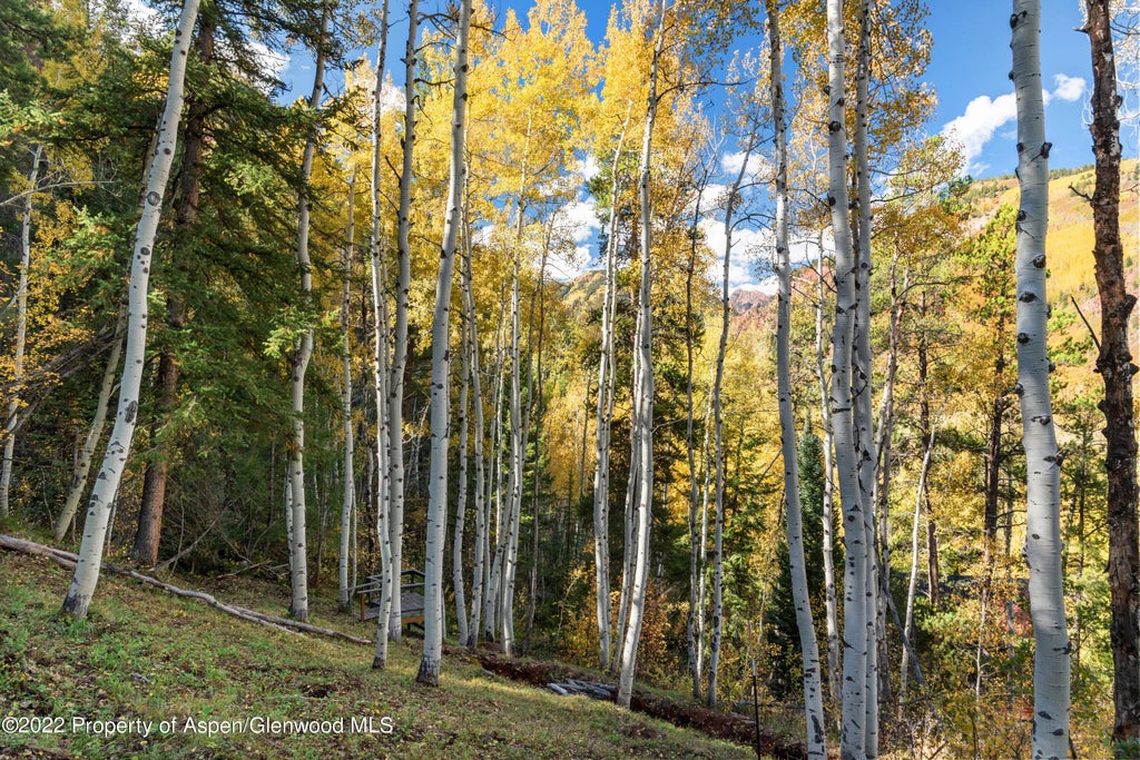 21 of 28 - Tbd Exhibition Lane Lot 13, Aspen, CO