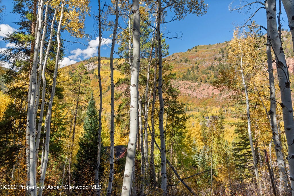 22 of 28 - Tbd Exhibition Lane Lot 13, Aspen, CO