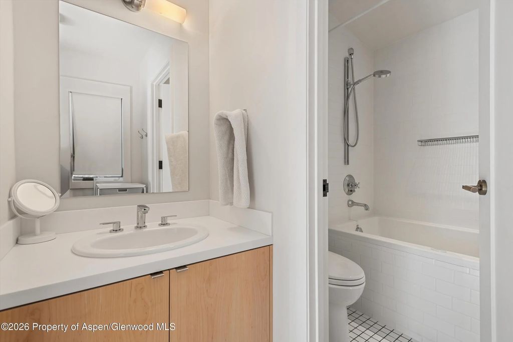 41 of 47 - 609 W Bleeker Street, Aspen, CO