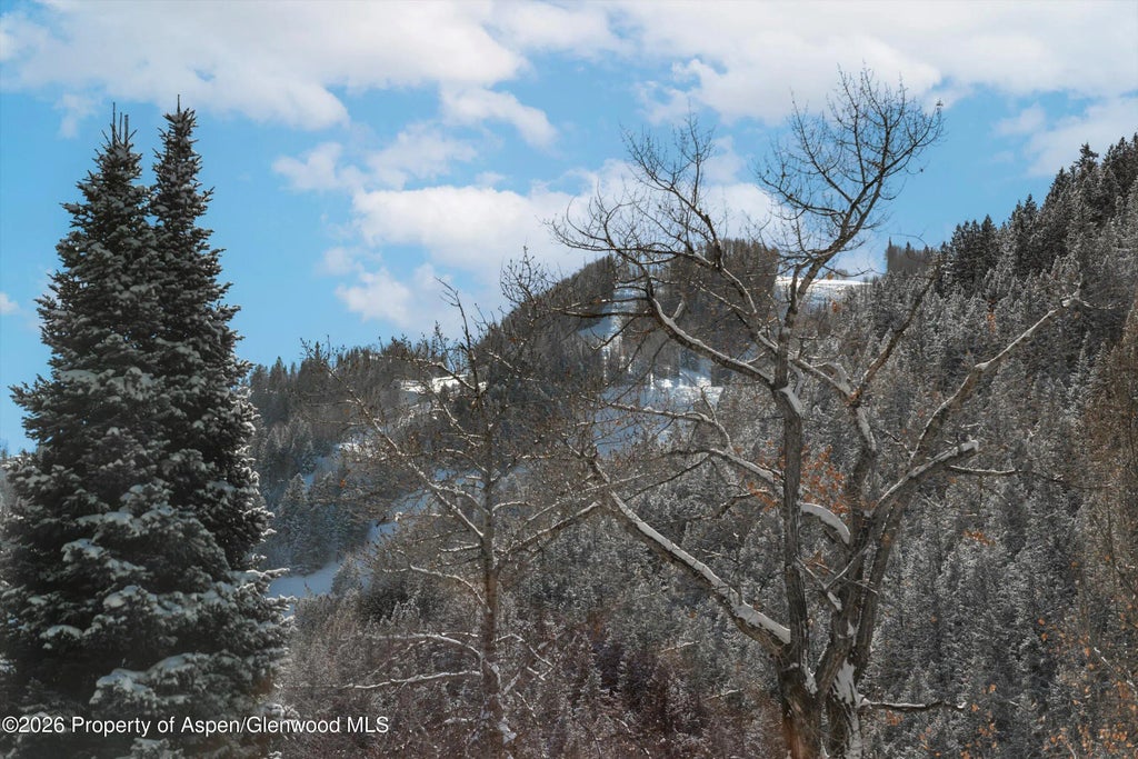 45 of 49 - 609 W Bleeker Street, Aspen, CO