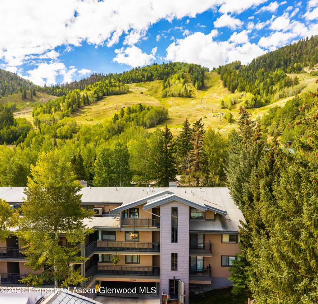 14 of 21 - 700 S Monarch Street 207, Aspen, CO