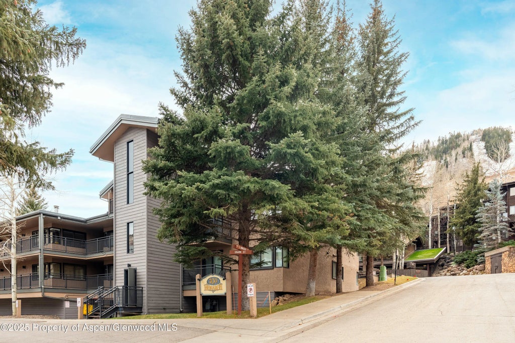 14 of 20 - 700 S Monarch Street 207, Aspen, CO