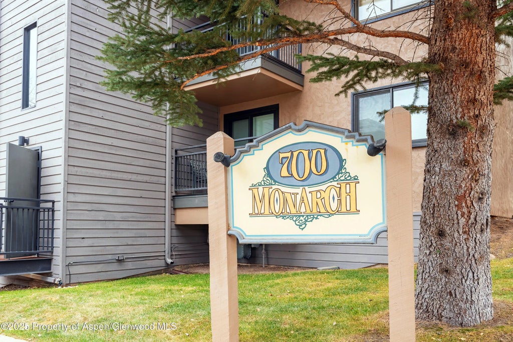 15 of 20 - 700 S Monarch Street 207, Aspen, CO