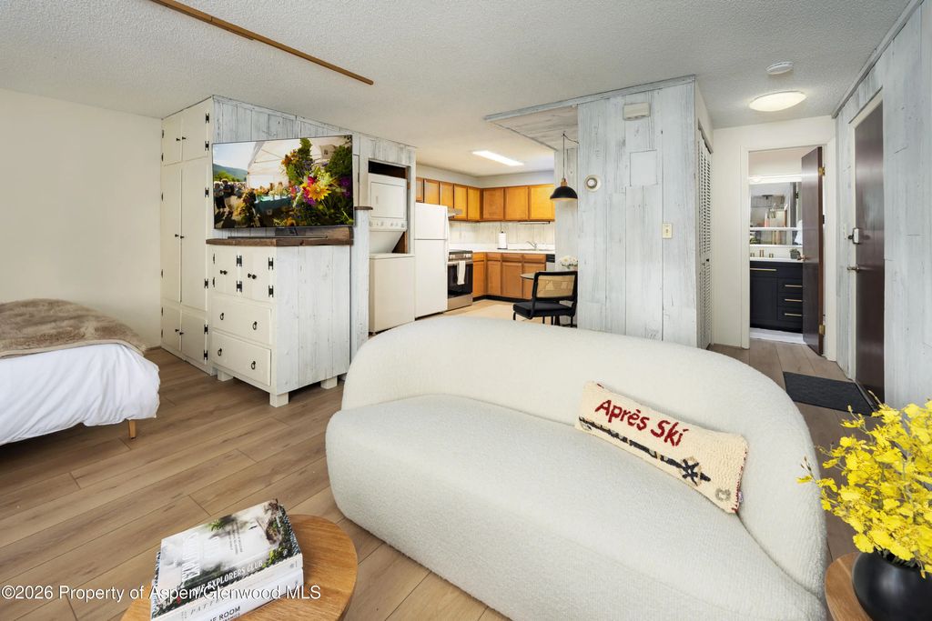 6 of 21 - 700 S Monarch Street 207, Aspen, CO