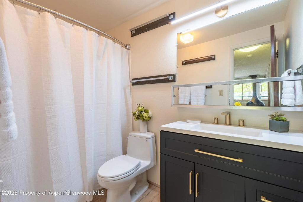 8 of 21 - 700 S Monarch Street 207, Aspen, CO