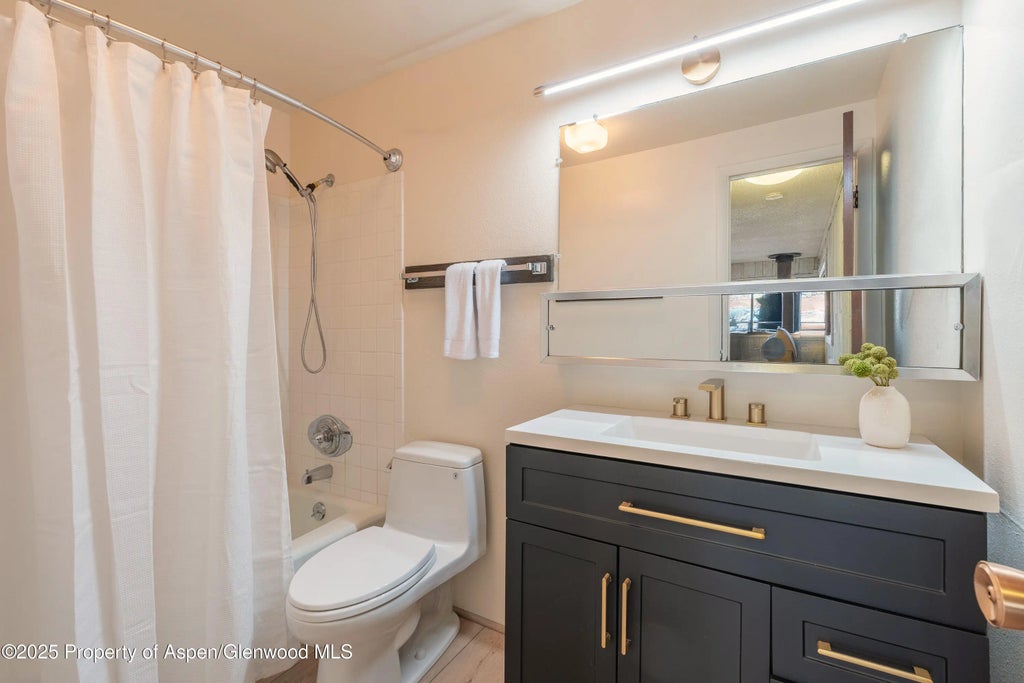 9 of 20 - 700 S Monarch Street 207, Aspen, CO