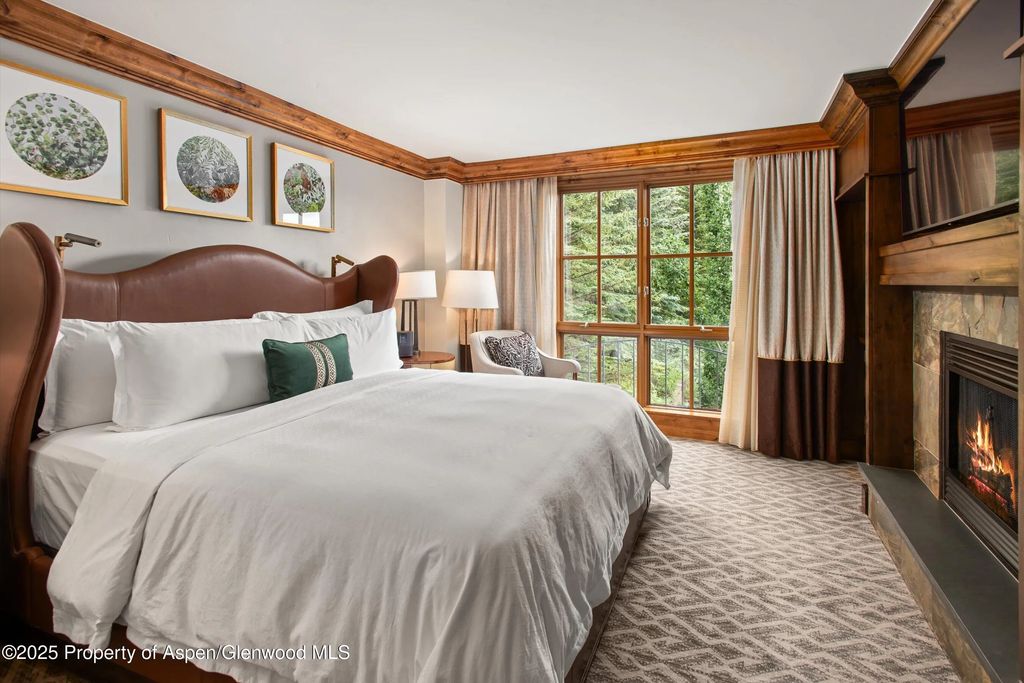 10 of 17 - 315 E Dean Street B33-c4, Aspen, CO