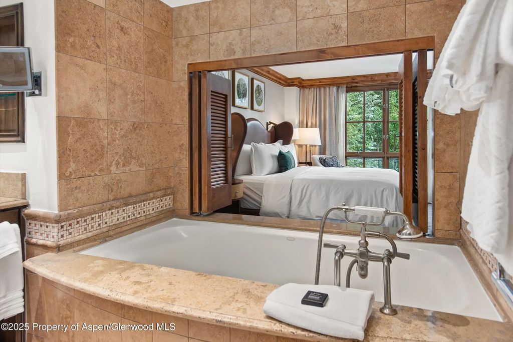 13 of 17 - 315 E Dean Street B33-c4, Aspen, CO
