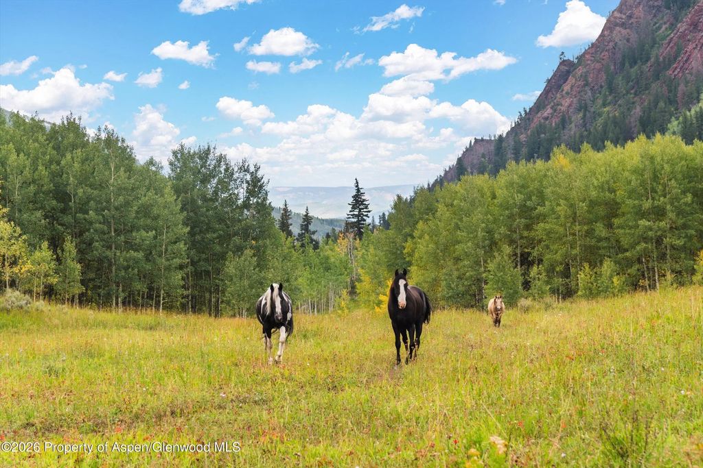 4 of 37 - 5387 Castle Creek Road, Aspen, CO