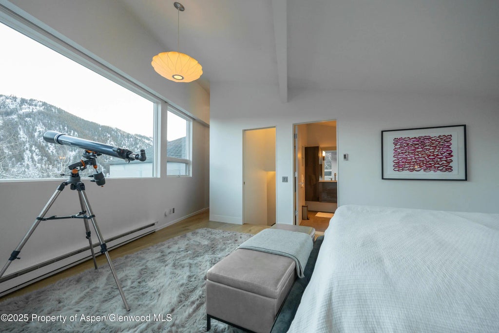 10 of 50 - 602 Mountain Laurel Drive, Aspen, CO