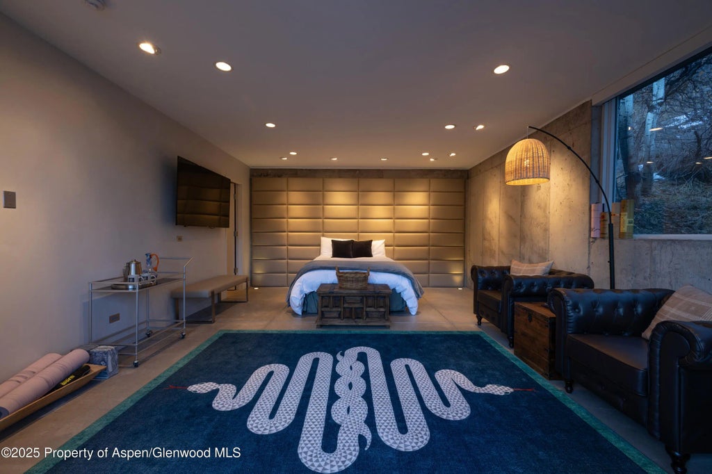 9 of 50 - 602 Mountain Laurel Drive, Aspen, CO