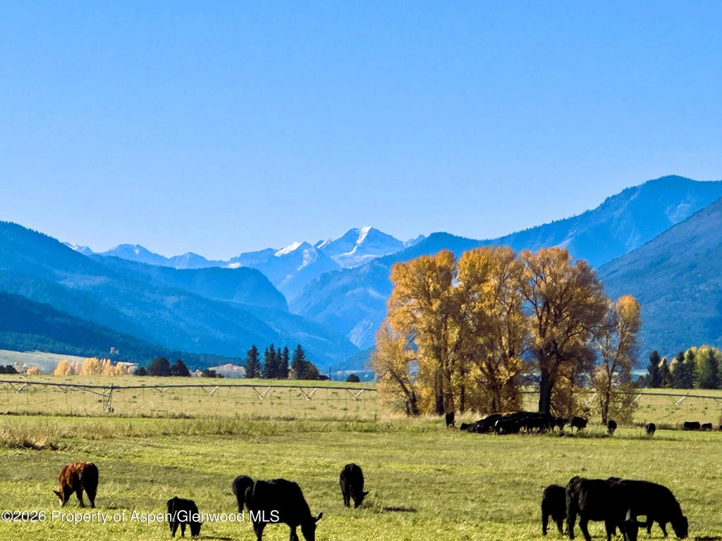 977 County Road 101, Carbondale