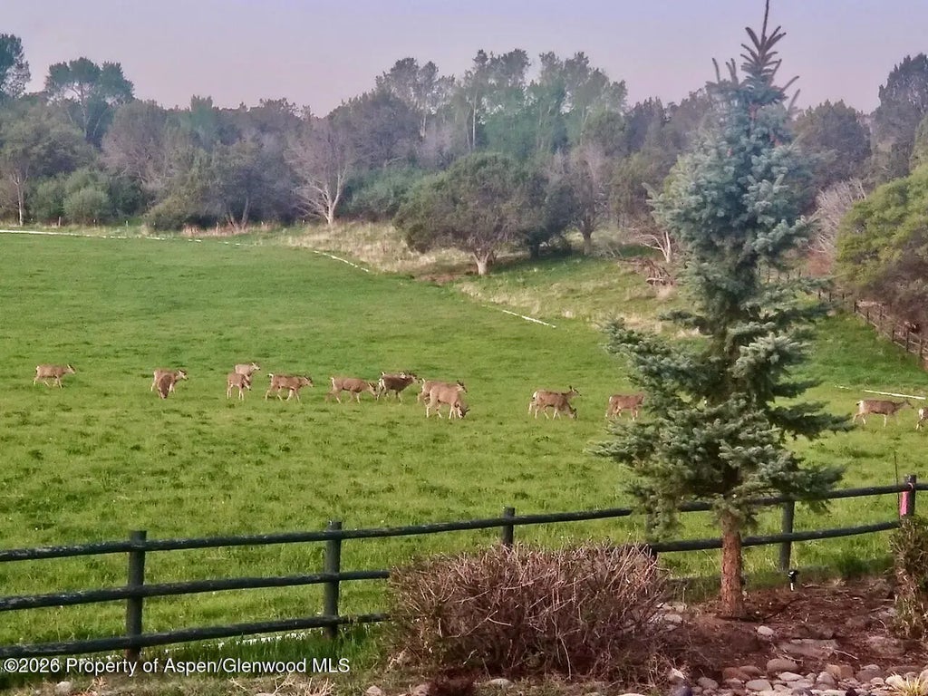 36 of 49 - 2637 7750 Road, Crawford, CO