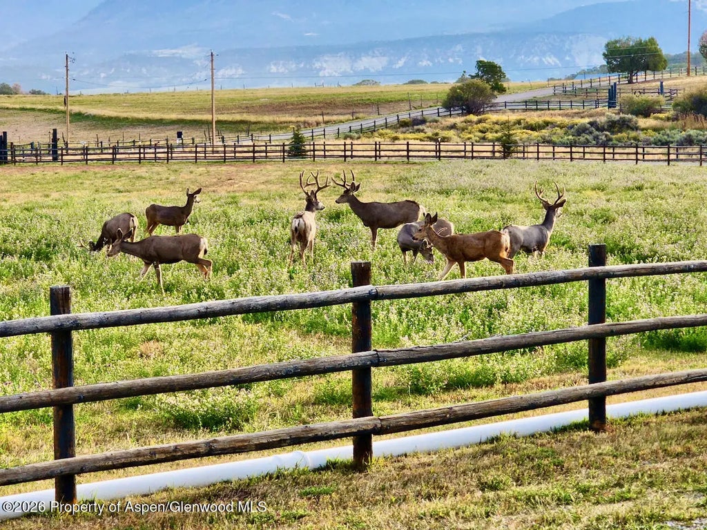 38 of 49 - 2637 7750 Road, Crawford, CO