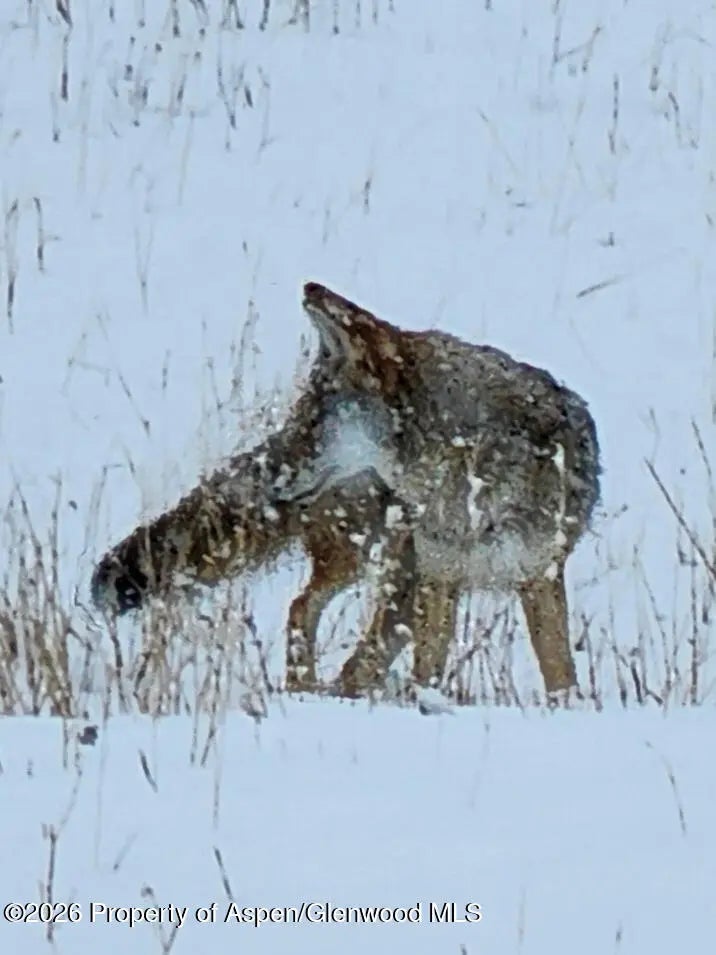 39 of 49 - 2637 7750 Road, Crawford, CO