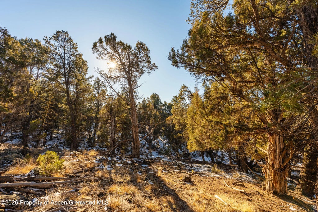 12 of 25 - 361 Pinon Drive, Glenwood Springs, CO