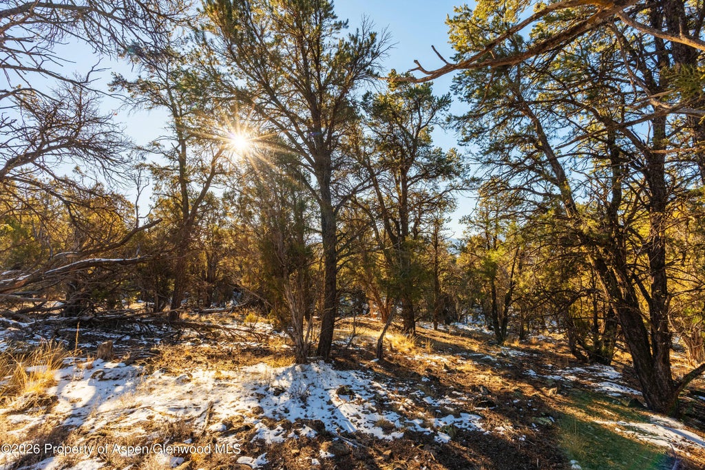 13 of 25 - 361 Pinon Drive, Glenwood Springs, CO