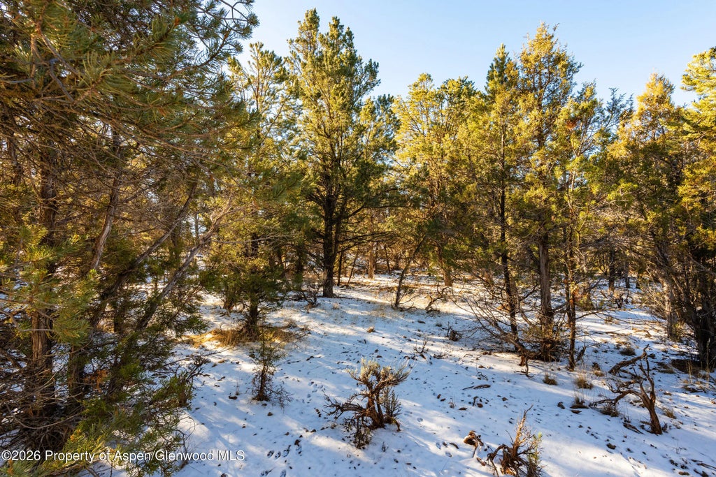 14 of 25 - 361 Pinon Drive, Glenwood Springs, CO