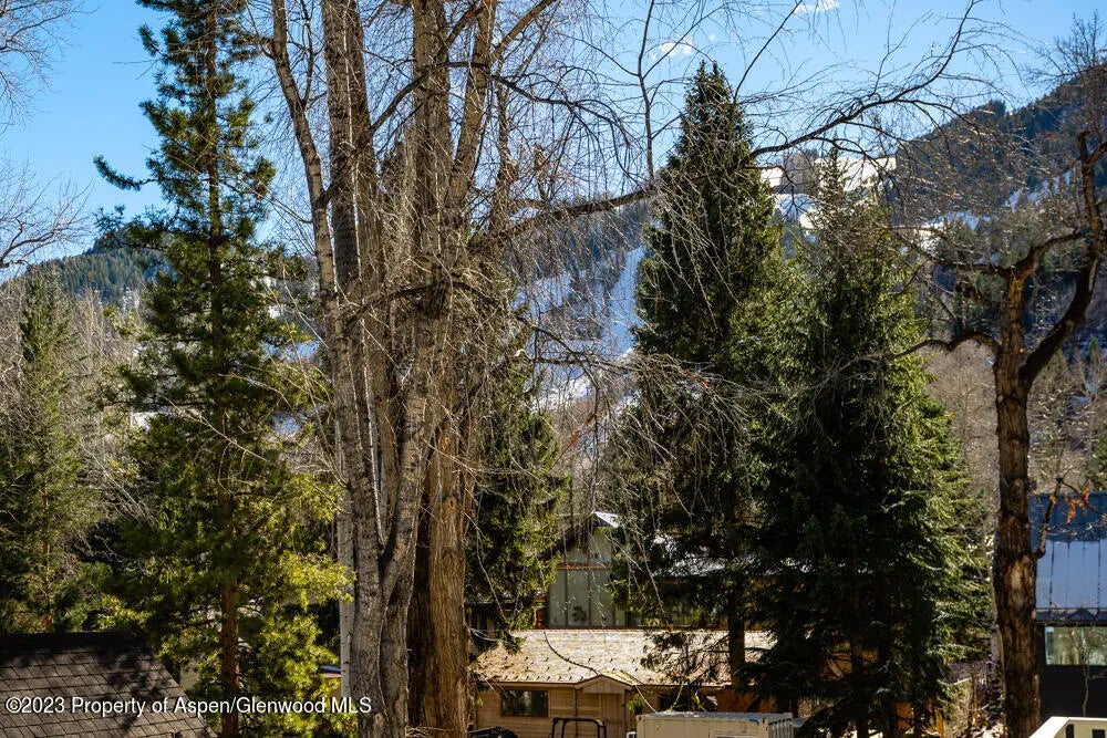 15 of 23 - 222 W Hopkins Avenue 6, Aspen, CO
