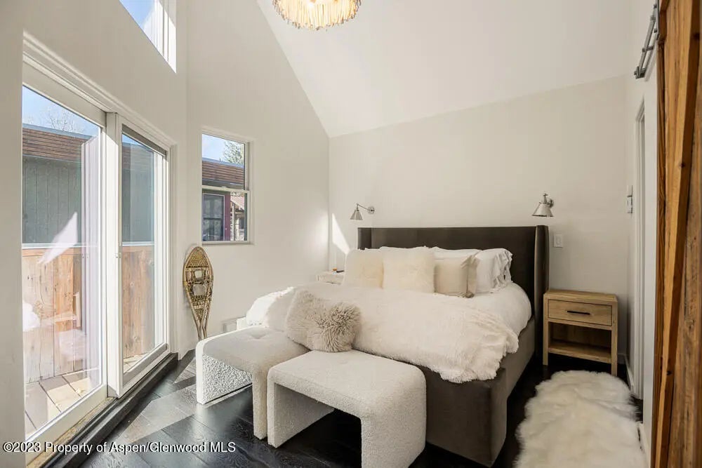 7 of 23 - 222 W Hopkins Avenue 6, Aspen, CO