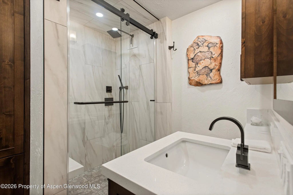 14 of 15 - 814 W Bleeker Street B5, Aspen, CO