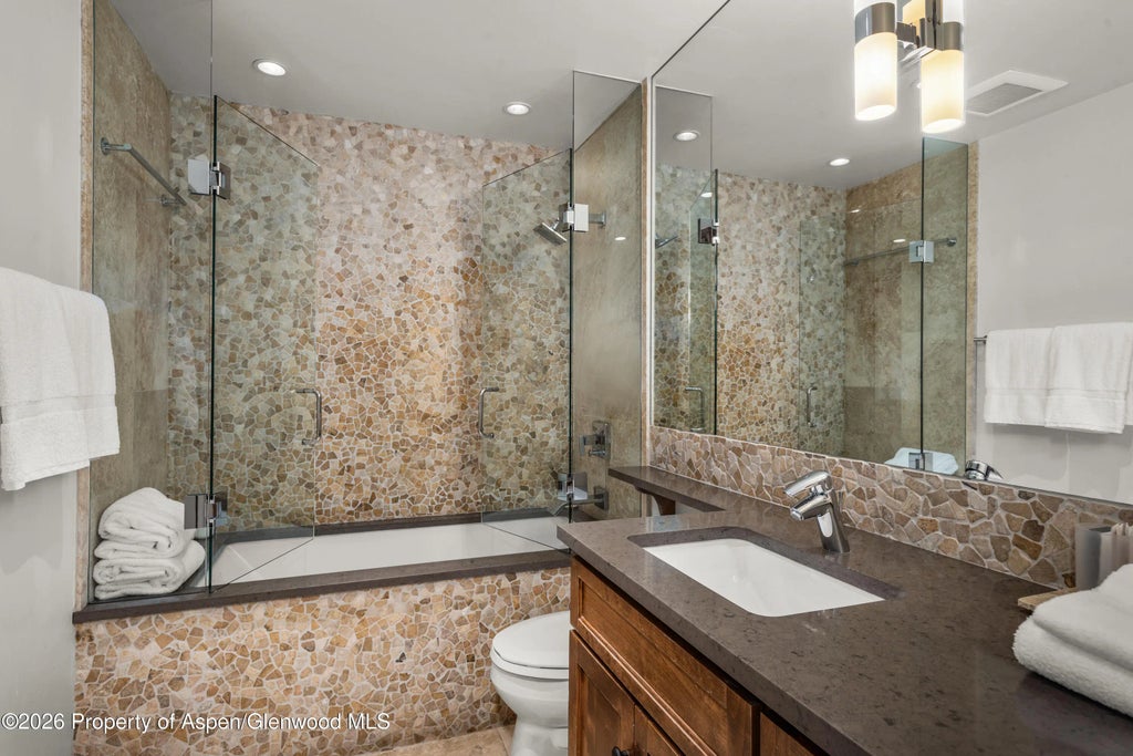 11 of 14 - 610 S West End Street D103, Aspen, CO