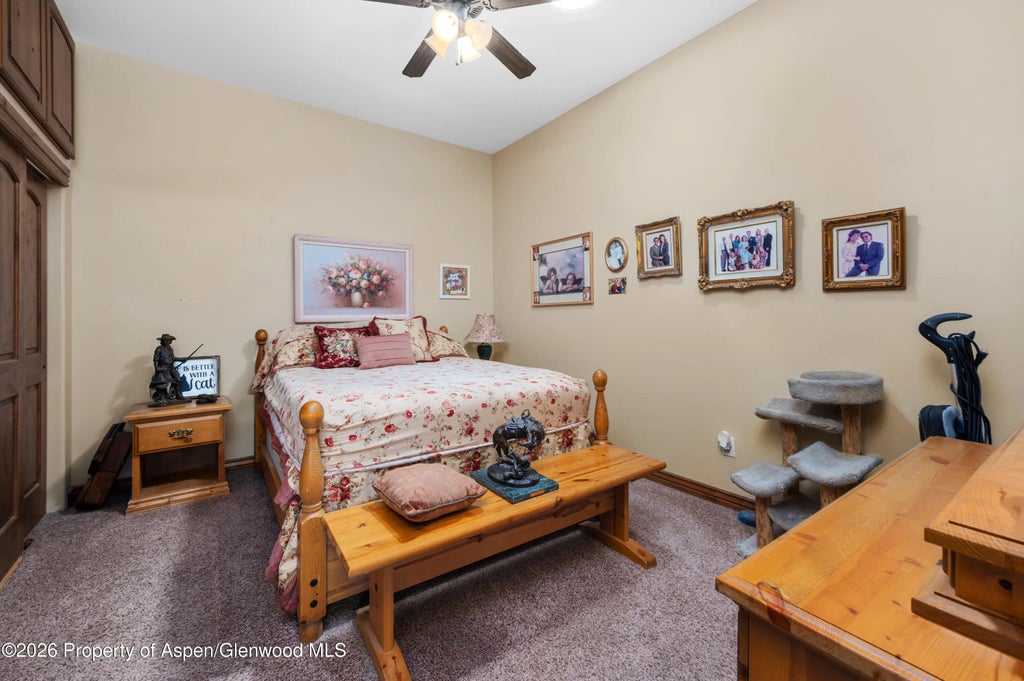 27 of 44 - 1306 Gold Lake Drive, Loma, CO