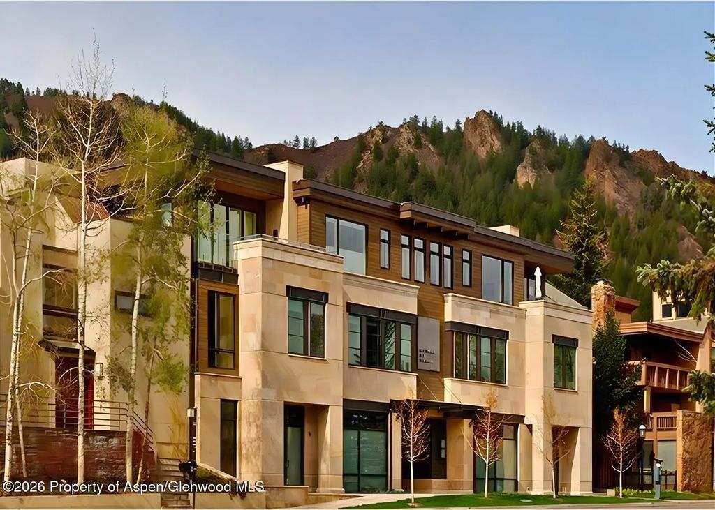 625 E Main Street 204, Aspen